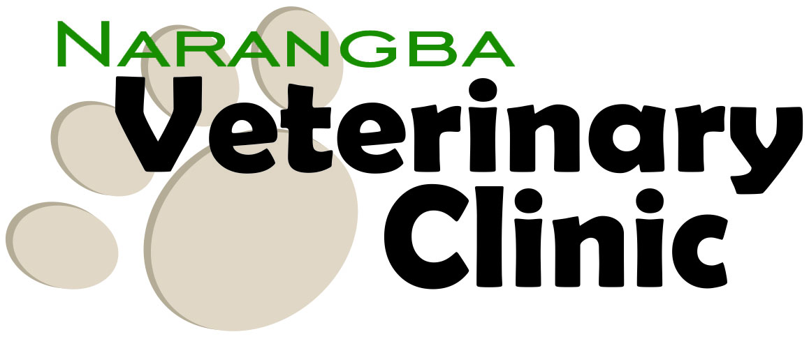 Narangba Veterinary Surgery Logo